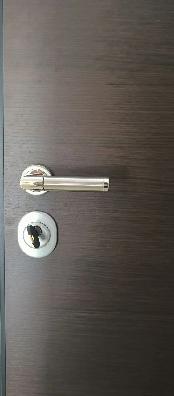 Helas Premium sigurnosna vrata – detalj kvake i cilindar brave, tamna obloga izbliza